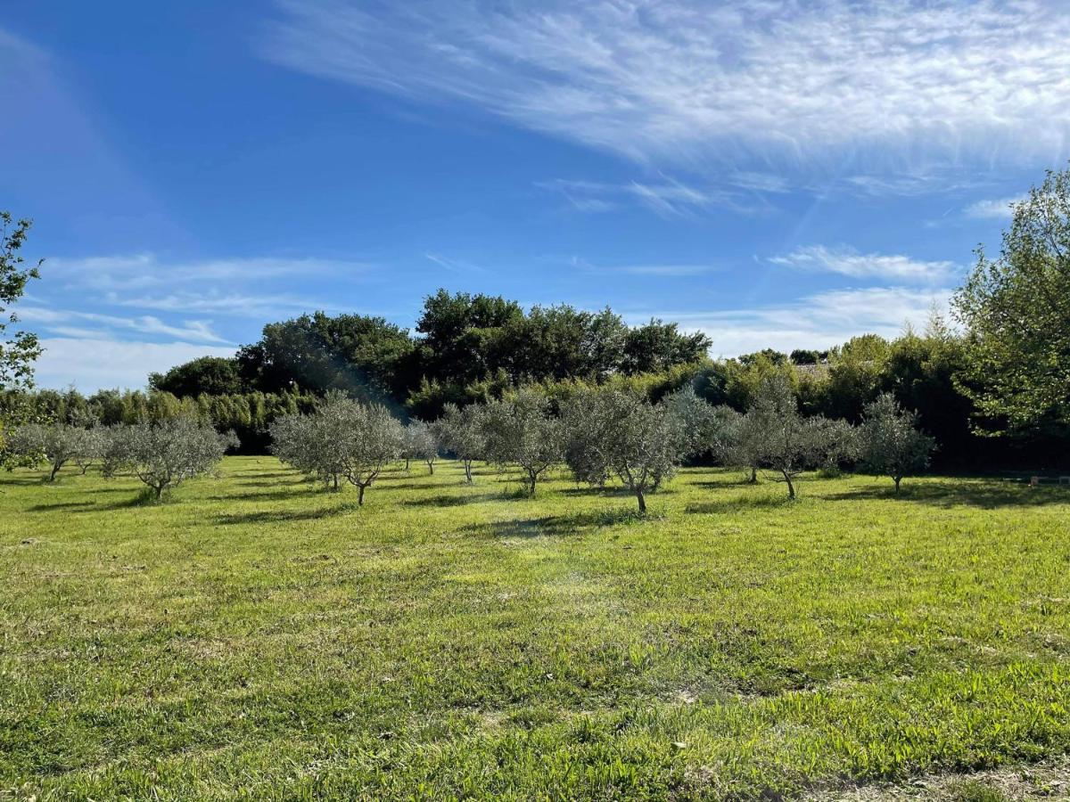 Appartement de charme Sud Luberon classé 4 étoiles Puyvert Exterior foto